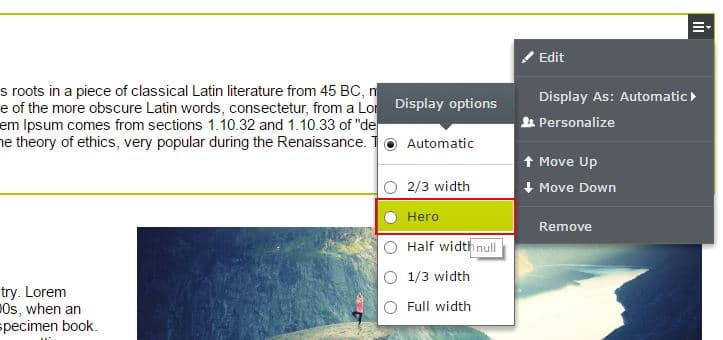 Select Hero display option